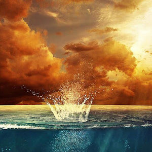 Meet your Posher, Daisy